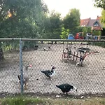 In Nieuwleusen Near And Nature Bergen op Zoom