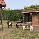 In Nieuwleusen Near And Nature * ברחן אופ זום