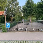 בית נופש In Nieuwleusen Near And Nature ברחן אופ זום