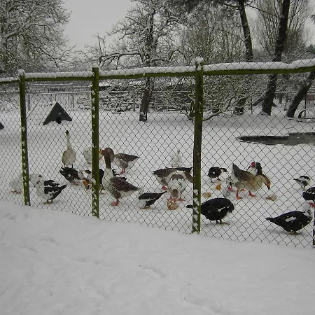 Дом отдыха Holiday Farm De Herberg Берген-оп-Зом
