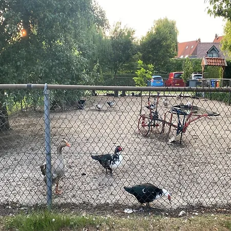 Holiday Farm De Herberg Берген-оп-Зом
