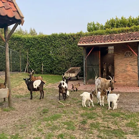 Farmhouse Near Bergen Op Zoom * Bergen op Zoom