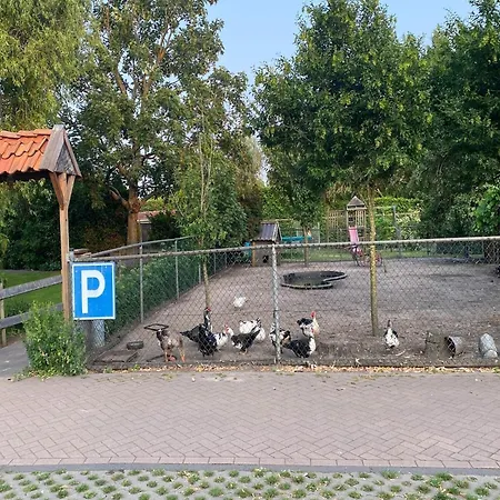 Дом отдыха Holiday Farm De Herberg Берген-оп-Зом