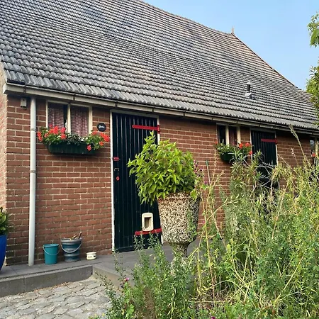 Dom wakacyjny In Nieuwleusen Near And Nature *