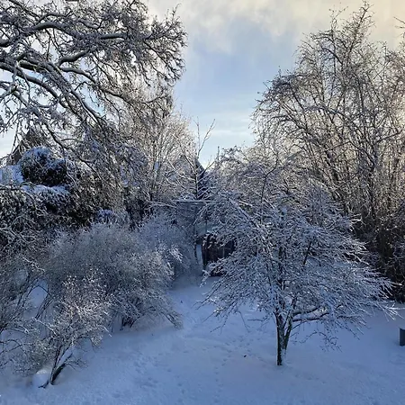 Farmhouse In Nieuwleusen Near Lake And Nature Holiday home Bergen op Zoom