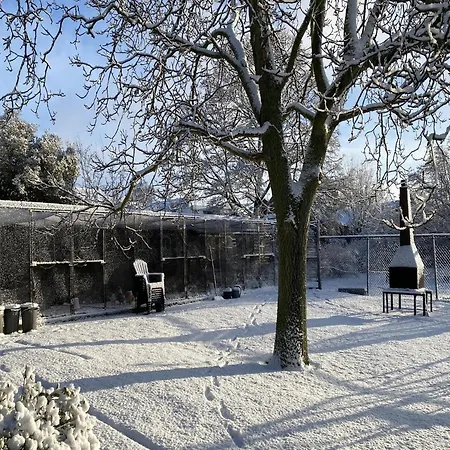 Farmhouse In Nieuwleusen Near Lake And Nature Holiday home *