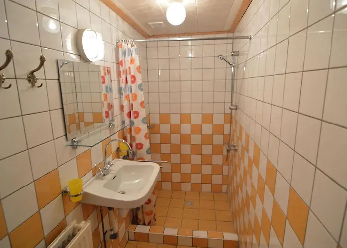 Farmhouse In Nieuwleusen Near Lake And Nature Holiday home *