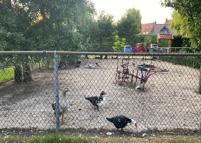 Farmhouse In Nieuwleusen Near Lake And Nature Bergen op Zoom