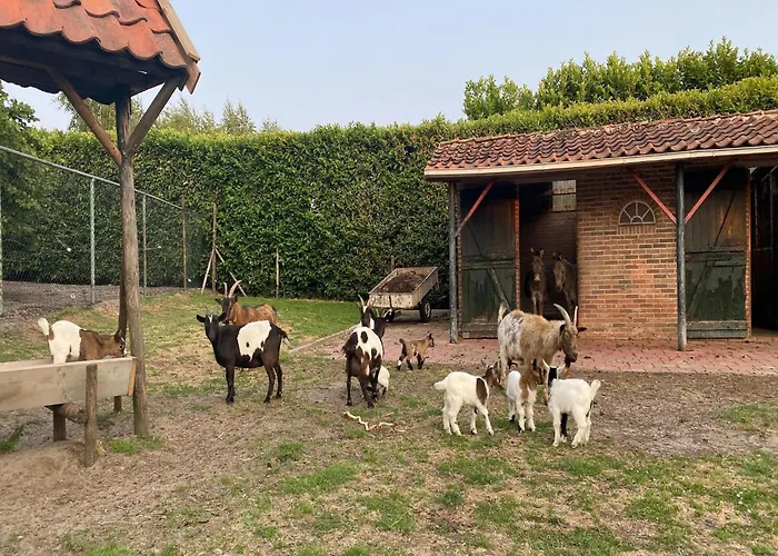 Farmhouse In Nieuwleusen Near Lake And Nature * Bergen op Zoom