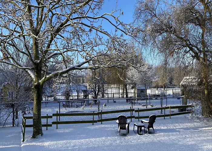 Farmhouse In Nieuwleusen Near Lake And Nature Holiday home *