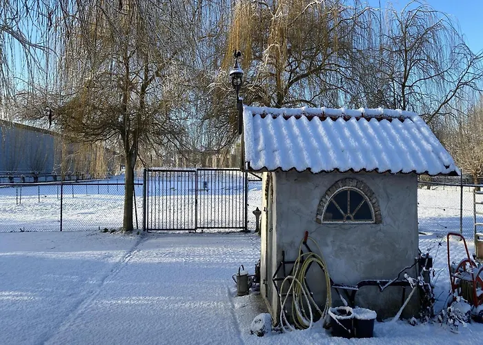 Farmhouse In Nieuwleusen Near Lake And Nature Holiday home *