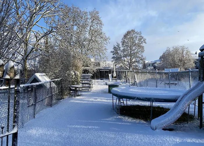Farmhouse In Nieuwleusen Near Lake And Nature Holiday home Bergen op Zoom