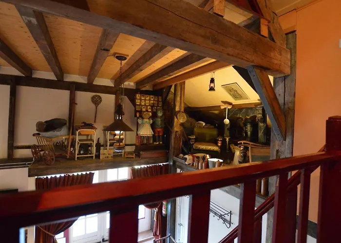 In Nieuwleusen Near And Nature *