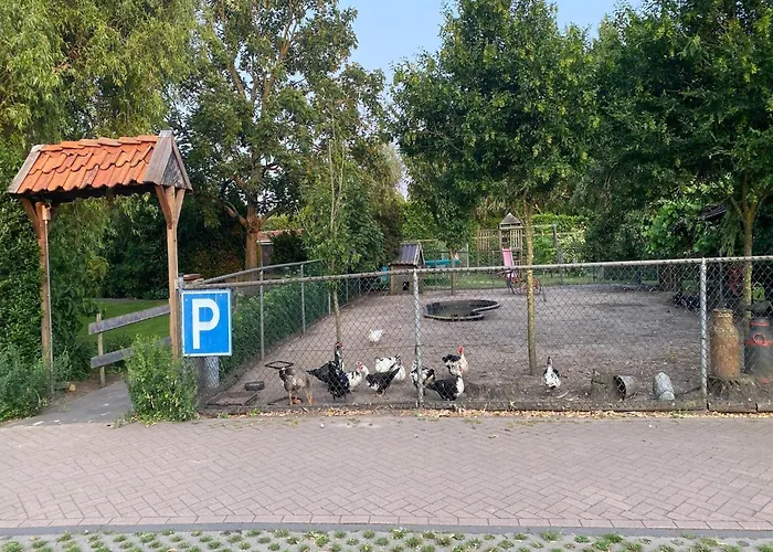 Dom wakacyjny In Nieuwleusen Near And Nature Bergen op Zoom