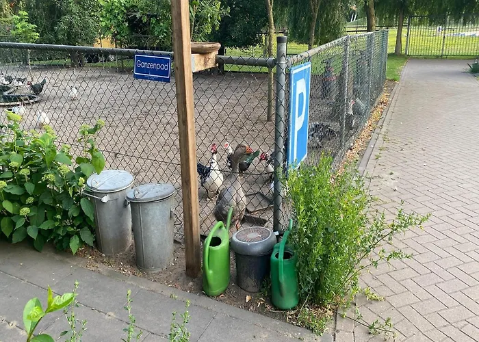 Dom wakacyjny In Nieuwleusen Near And Nature