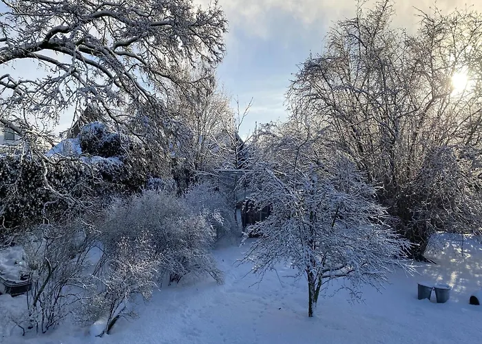 In Nieuwleusen Near And Nature Dom wakacyjny Bergen op Zoom