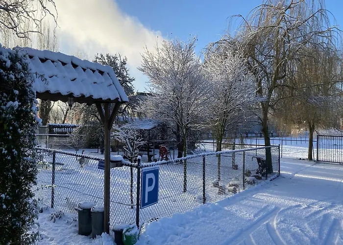 In Nieuwleusen Near And Nature *